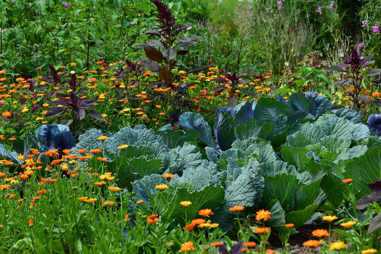 How Do You Plant and Grow the Perfect Garden Bed in the Midst of a Pandemic?